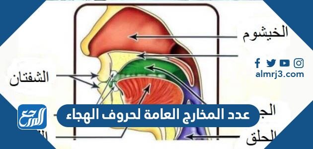 عدد المخارج العامة لحروف الهجاء