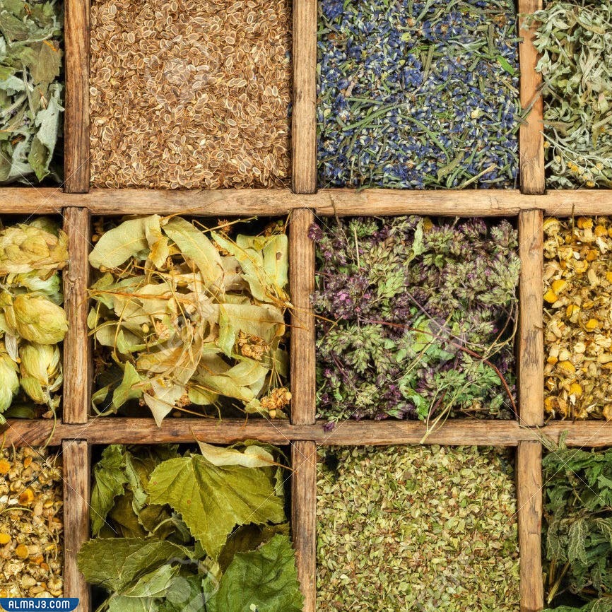 علاج البواسير بالأعشاب