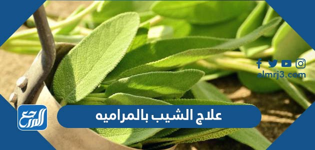 علاج الشيب بالمراميه