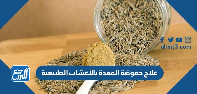 علاج حموضة المعدة بالأعشاب الطبيعية