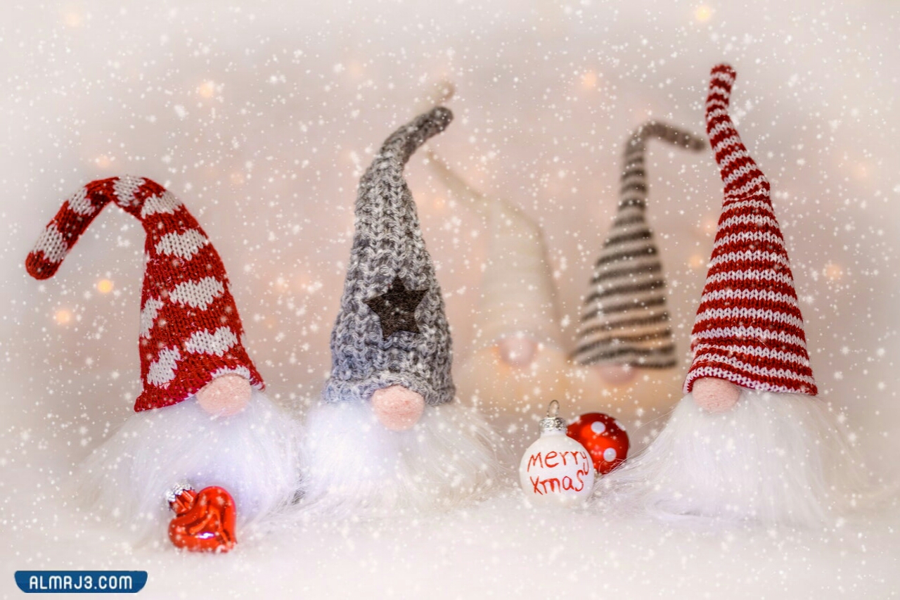 فعاليات الشتاء 2022