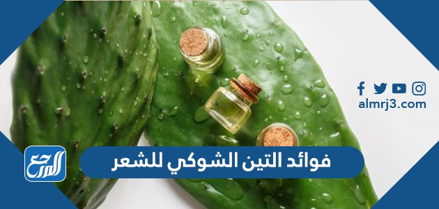 فوائد التين الشوكي للشعر