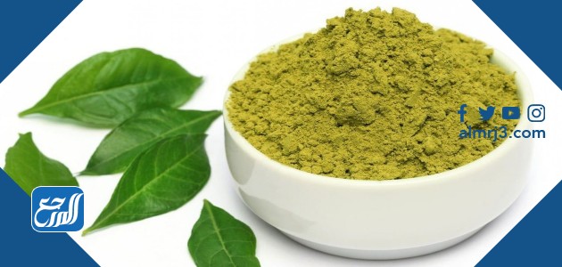 فوائد الحناء للشعر