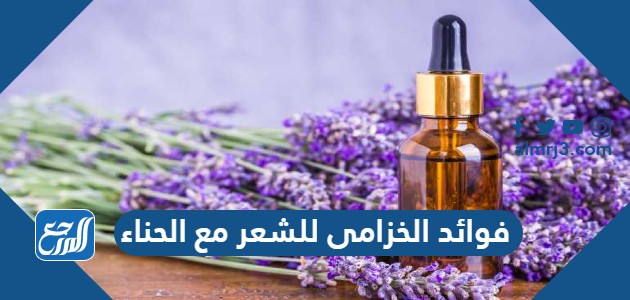 فوائد الخزامى للشعر مع الحناء