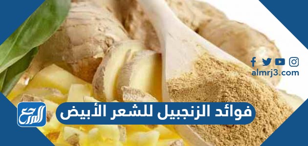 فوائد الزنجبيل للشعر الأبيض