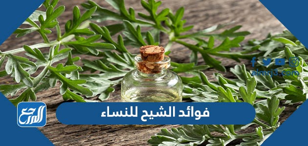 فوائد الشيح للنساء