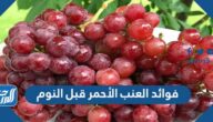 فوائد العنب الأحمر قبل النوم