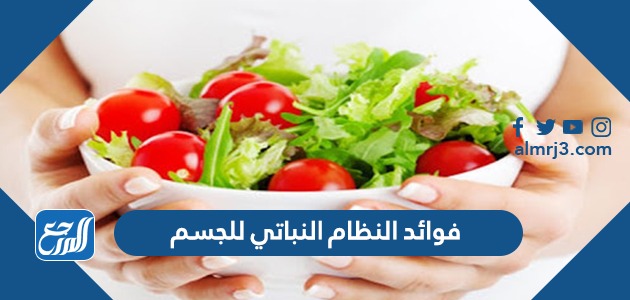 فوائد النظام النباتي للجسم