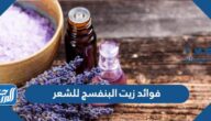 فوائد زيت البنفسج للشعر