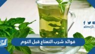 فوائد شرب النعناع قبل النوم فوائد شرب النعناع قبل النوم