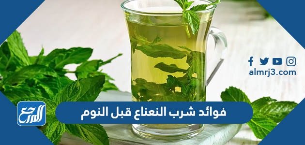 فوائد شرب النعناع قبل النوم