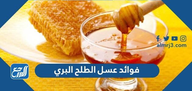فوائد عسل الطلح البري