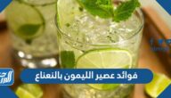 فوائد عصير الليمون بالنعناع وكيفية إعداده فوائد عصير الليمون بالنعناع وكيفية إعداده
