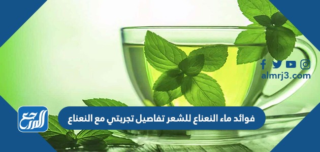 فوائد ماء النعناع للشعر