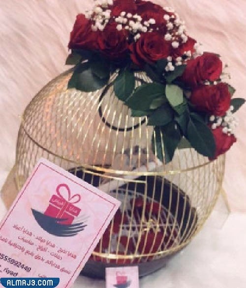 وضع النقود في قفص ذهبي