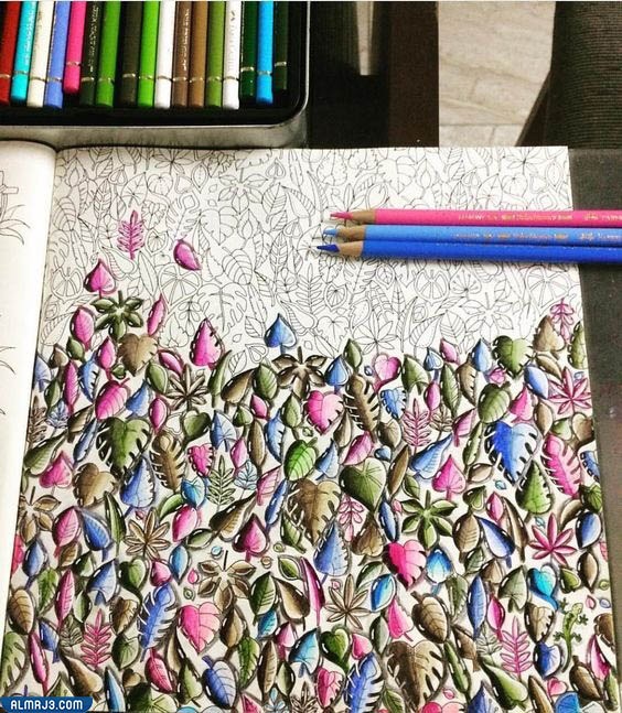 كتب التلوين للكبار