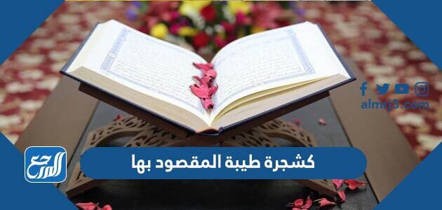 كشجرة طيبة المقصود بها