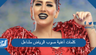 كلمات أغنية صوب الرياض مشاعل
