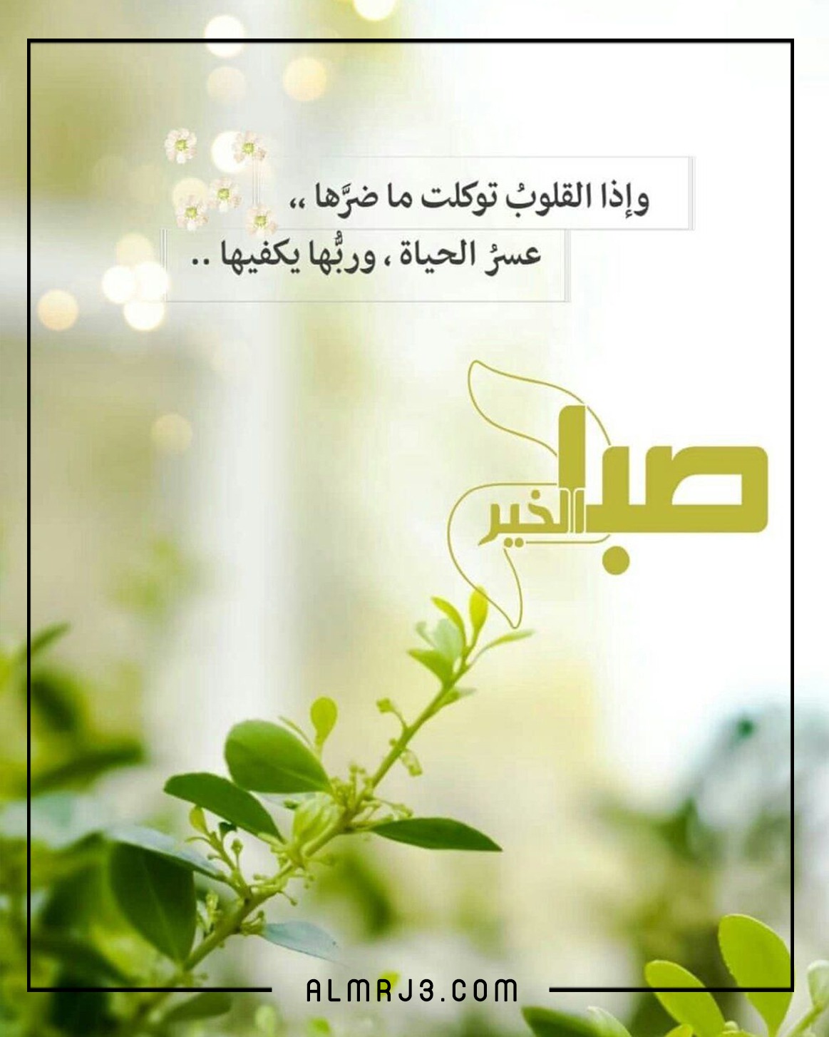 كلمات وصور صباح الخير