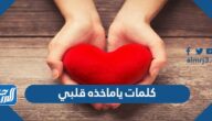 كلمات ياماخذه قلبي