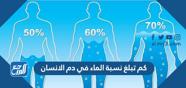 كم تبلغ نسبة الماء في دم الانسان