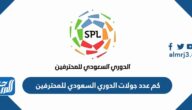 كم عدد جولات الدوري السعودي للمحترفين 2025