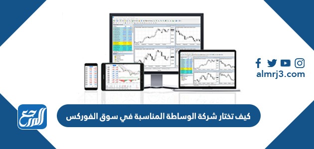 كيف تختار شركة الوساطة المناسبة في سوق الفوركس؟