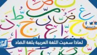 لماذا سميت اللغة العربية بلغة الضاد