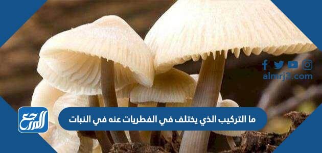 ما التركيب الذي يختلف في الفطريات عنه في النبات