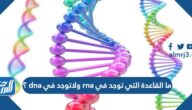 ما القاعدة التي توجد في rna ولاتوجد في dna ؟
