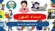 ما انواع المهن الاساسية