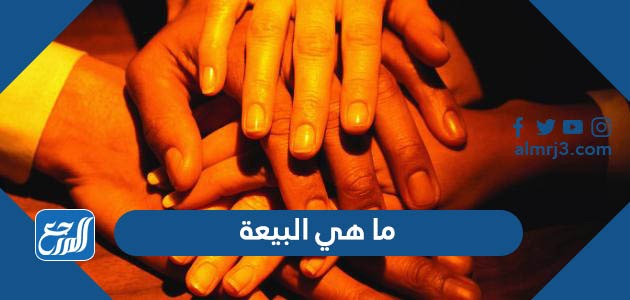 ما هي البيعة