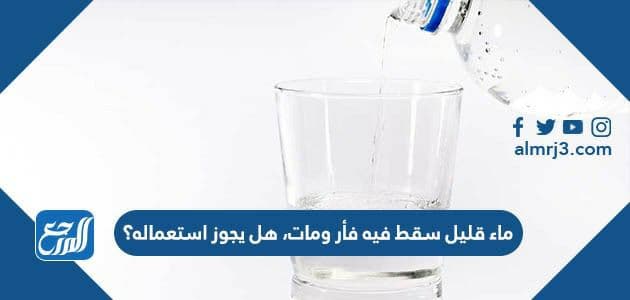 ماء قليل سقط فيه فأر ومات، هل يجوز استعماله؟