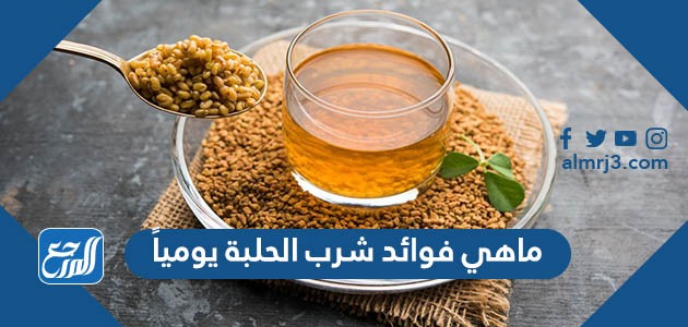 ماهي فوائد شرب الحلبة يومياً