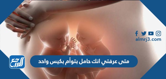 متى عرفتي انك حامل بتوأم بكيس واحد