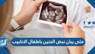 متى يبان نبض الجنين باطفال الانابيب