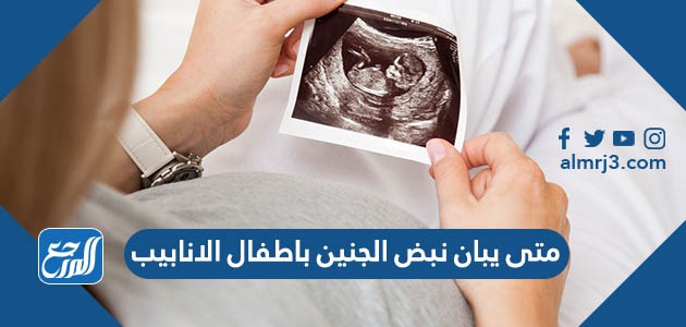 متى يبان نبض الجنين باطفال الانابيب