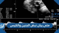 متى يبان نبض الجنين والكيس