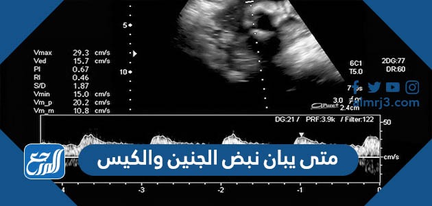 متى يبان نبض الجنين والكيس