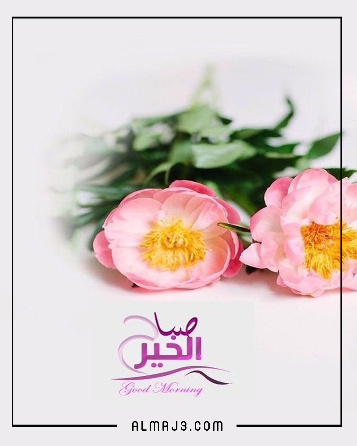 مسجات وصور صباح الخير