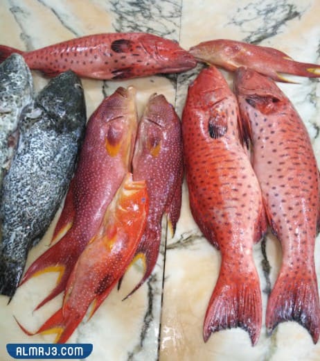 مطاعم بحرية في جدة