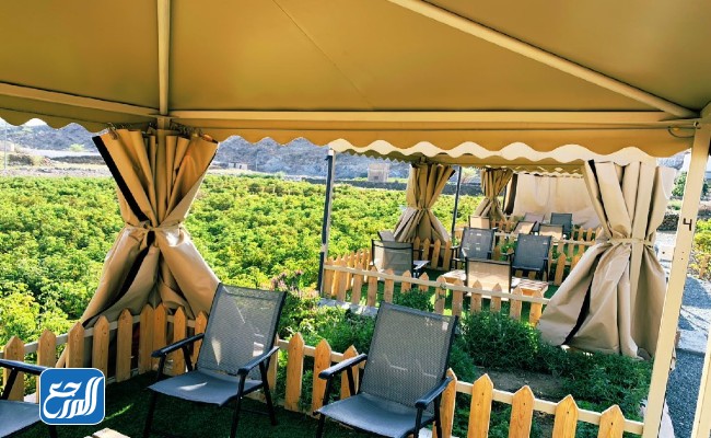 مطعم مصنع وكافيه الشيوخ