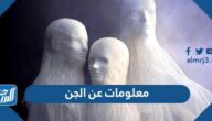معلومات عن الجن