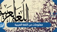 معلومات عن اللغة العربية