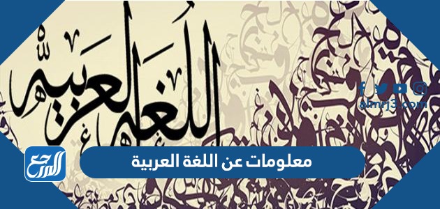 معلومات عن اللغة العربية
