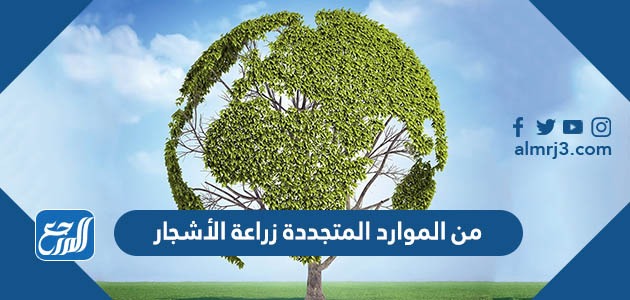 متجددة موارد طبيعية أنواع الموارد