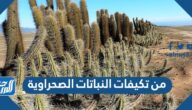 من تكيفات النباتات الصحراوية