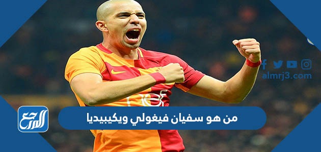 من هو سفيان فيغولي ويكيبيديا