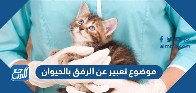 موضوع تعبير عن الرفق بالحيوان