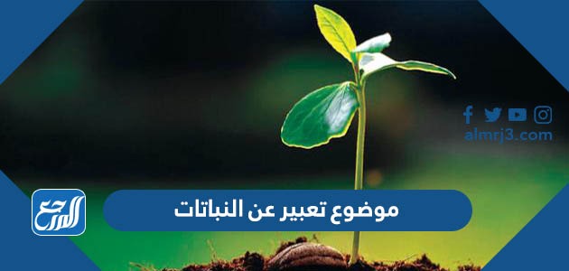 موضوع تعبير عن النباتات قصير